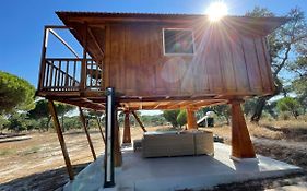 Suspended Wooden House - Monte da Cortiça